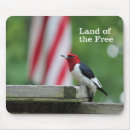 Suche nach spechte mousepads Vogelbeobachtung