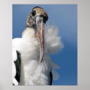 Suche nach bedrohte tiere poster Gefährdet