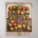 Suche nach zwölf monate poster Birnen