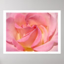 Suche nach rosa spirale poster Für alle