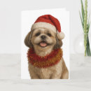 Suche nach shih tzu waren karten Hund