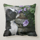 Suche nach position kissen Boxer