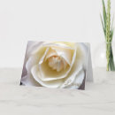 Suche nach weiße rosen karten Elegant