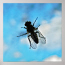 Suche nach bauch poster Blau