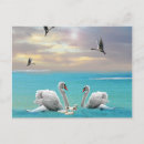 Suche nach weißer vogel postkarten Für sie