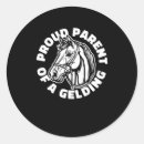 Suche nach dressur aufkleber Pony