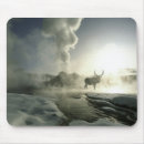 Suche nach yellowstone nationalpark mousepads Tierwelt