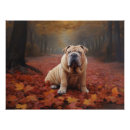 Suche nach shar pei poster Haustier