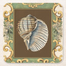 Suche nach muscheln untersetzer Meer