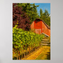 Suche nach weinkellerei poster Traube