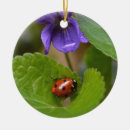 Suche nach ladybug ornamente Insekt