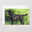 Suche nach labor postkarten Lustig