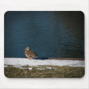 Suche nach einsam mousepads Natur