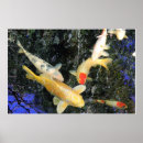Suche nach koi fisch poster Teich