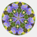 Suche nach clematis aufkleber Blumenreich