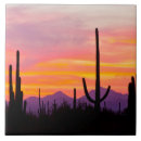 Suche nach saguaro fliesen Sonnenuntergang