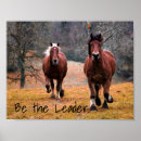 Suche nach wilde pferde poster Wildpferde