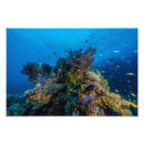 Suche nach korallenrotes poster Meer