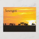 Suche nach das serengeti postkarten Kenya