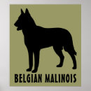 Suche nach belgier poster Tier