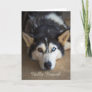 Suche nach husky karten Jede person