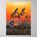 Suche nach flying bird poster Sonnenuntergang