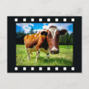 Suche nach filmstreifen postkarten Für alle