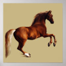Suche nach stubbs poster Pferd