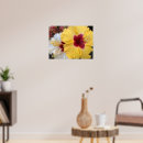 Suche nach gelber hibiskus poster Blume