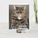 Suche nach wütende katze einladungen Lustig