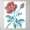 Suche nach blaugrün poster Botanisch