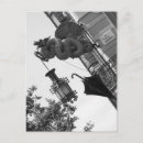 Suche nach schwarze spinne postkarten Europa