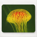 Suche nach qualle mousepads Gelb