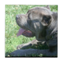 Suche nach stock untersetzer Italienisch