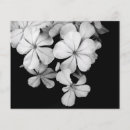 Suche nach tischplatten postkarten Blumenreich
