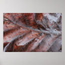 Suche nach feucht poster Natur