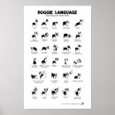 Suche nach boston poster Hund