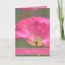 Suche nach rosa mohnblume karten Für sie