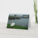 Suche nach galway karten Photography