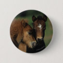 Suche nach miniatur buttons Pferd