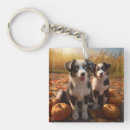 Suche nach australischer schäferhund schlüsselanhänger Tier