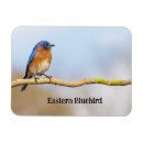 Suche nach easter magnete Blau