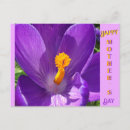 Suche nach krokus postkarten Für sie