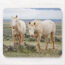 Suche nach prarie mousepads Bauernhof