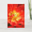 Suche nach feuer blume karten Gelb