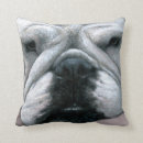 Suche nach kasten kissen Hund