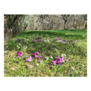 Suche nach primzahlen poster Für alle