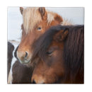 Suche nach icelandic untersetzer Tier