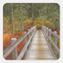 Suche nach nadelbaum aufkleber Wald