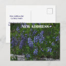 Suche nach lupine postkarten Natur